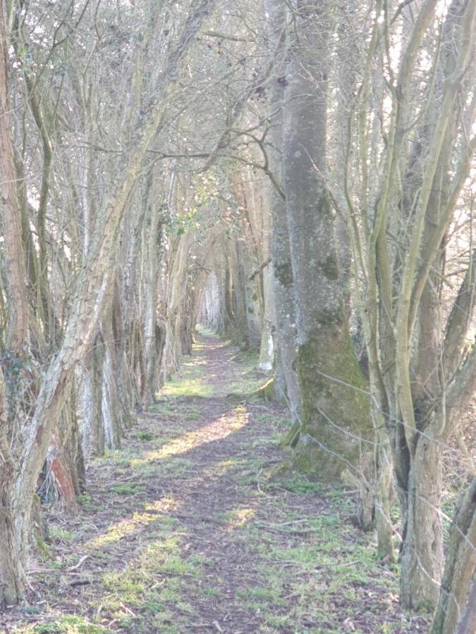 La Clef Des Champs Panzió Potelle Kültér fotó